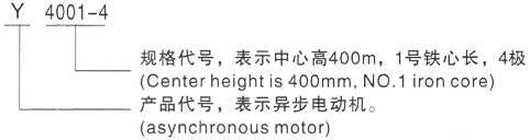 西安泰富西玛Y系列(H355-1000)高压YJTG-355M1-2A/220KW三相异步电机型号说明